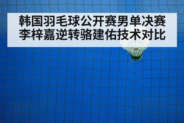 韩国羽毛球公开赛男单决赛李梓嘉逆转骆建佑技术对比