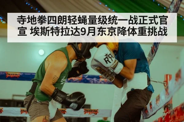 寺地拳四朗轻蝇量级统一战正式官宣 埃斯特拉达9月东京降体重挑战